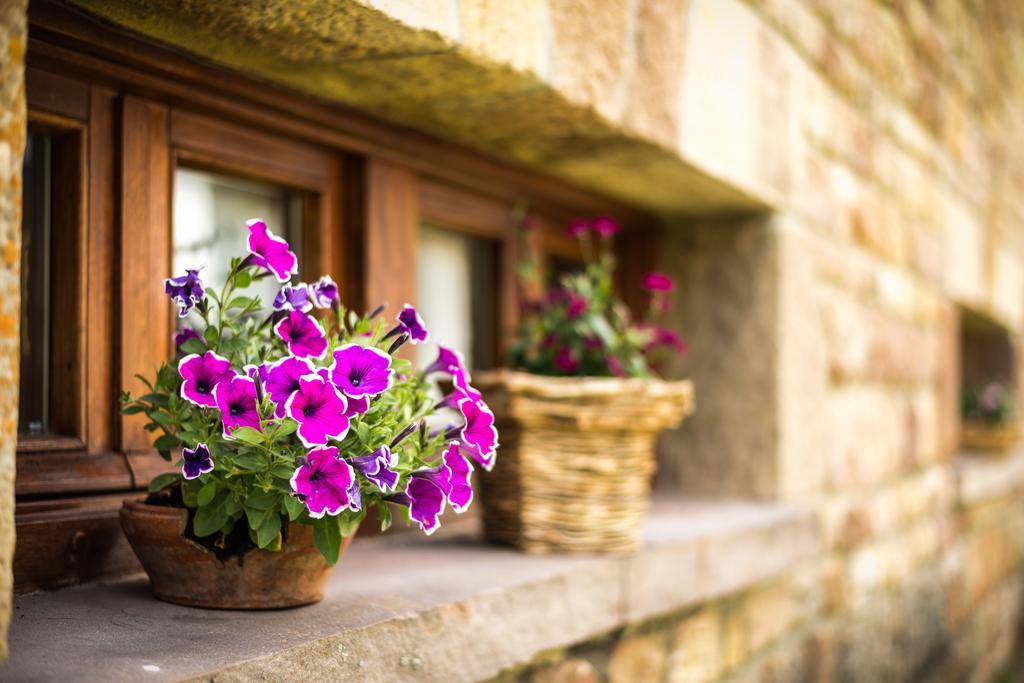 Casavieja Rural Villa Abiada Dış mekan fotoğraf